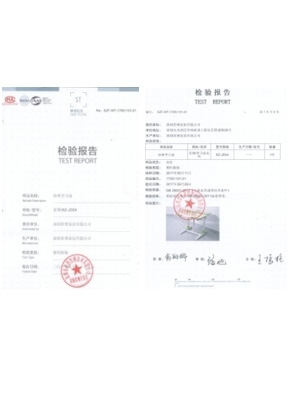 檢驗(yàn)報告